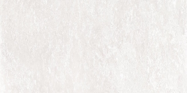 Керамогранит Emil Ceramica (Acif) Chateau Blanc Naturale EFL5 40x80 натуральный