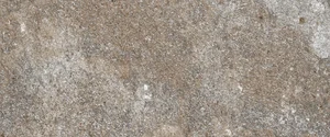 Керамогранит Emil Ceramica (Acif) Externa Quarzite Rust Grey EGL2 20x40 натуральный