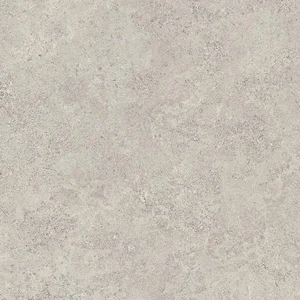 Керамогранит Emil Ceramica (Acif) Landscape Cenere 20mm Nat EJS3 80x80 натуральный