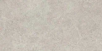 Landscape Cenere Silk EJX4