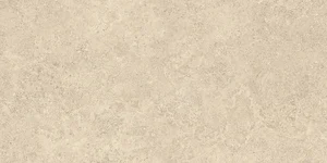 Керамогранит Emil Ceramica (Acif) Landscape Sabbia Silk EJRF 60x120 матовый