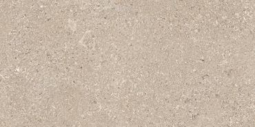 Керамогранит Emil Ceramica (Acif) Mapierre Ancienne Naturel ELRJ 60x120 матовый