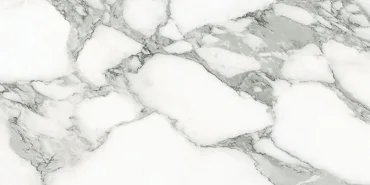Керамогранит Emil Ceramica (Acif) Tele Di Marmo Selection Arabescato Corchia Nat EJVV 30x60 матовый