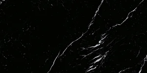Керамогранит Emil Ceramica (Acif) Tele Di Marmo Selection Nero Marquinia Lapp EJWF 30x60 лаппатированный