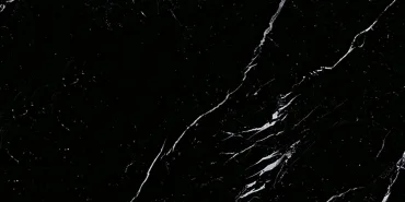 Керамогранит Emil Ceramica (Acif) Tele Di Marmo Selection Nero Marquinia Nat EJVS 60x120 матовый