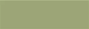 Плитка Emtile Milagro Olive 20x60 глянцевая