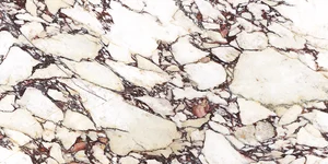 Керамогранит Energieker L11CAVI Imperial полированный Calacatta Viola Lcp 60x120