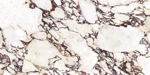 Керамогранит Energieker R11CAVI Imperial матовый Calacatta Viola Rett матовый 60x120