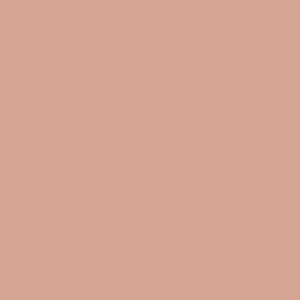Керамогранит Equipe Bauhome Rose 27681 20x20 матовый
