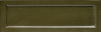 Island Frame Lichen 31202
