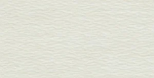 Керамогранит Ergon Elegance Pro Shield Mural White Naturale EK99 60x120 рельефный