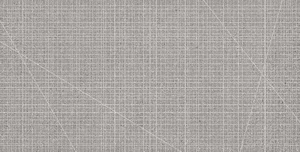 Декоративный элемент Ergon Grainstone Grey Cage Naturale E09H 60x120 натуральный