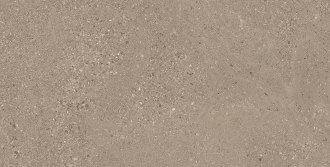Grainstone Taupe Rough Grain Tecnica R11 E0DX