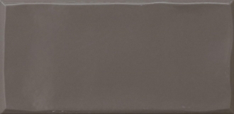 Tr3Nd Majolica Shiny Brown EANZ