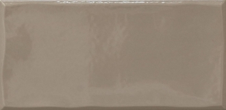 Tr3Nd Majolica Shiny Taupe E40E