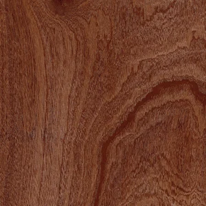 Керамогранит Marca Corona Essences Mahogany 20x20 матовый