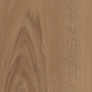 Керамогранит Marca Corona Essences Walnut 20x20 матовый