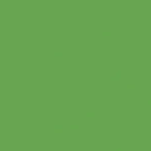 Керамогранит Essere Allegria Verde Pav. 33x33 полированный