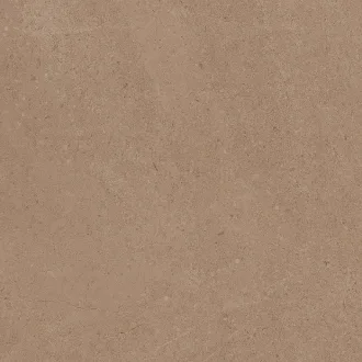 Gobi Beige GO01 Неполированный 60x60 69013