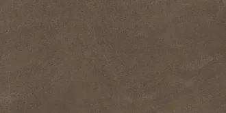 Gobi Brown Grey GO03 Неполированный 60x120 69018