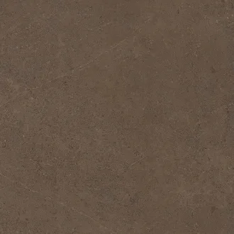 Gobi Brown Grey GO03 Неполированный 60x60 69015