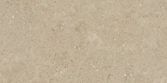 NewPort Beige NP02 Неполированный 30,6x60,9 68870