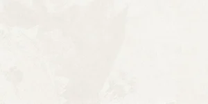 Керамогранит Estima Terra White TE00 Неполированный 80x160x11 39444 80x160 матовый