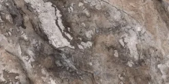 Paradise Quarry Brown Polished Rec.