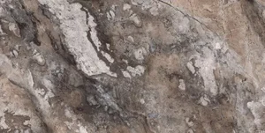 Керамогранит Etili Seramik Paradise Quarry Brown Polished Rec. 60x120 полированный
