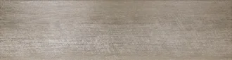 Болонья 15 BL 0016