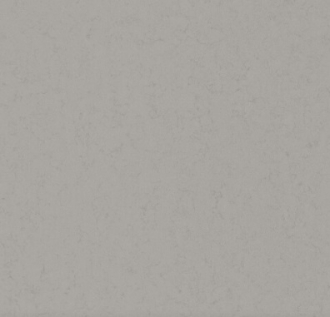 Portland Grey Anti-slip