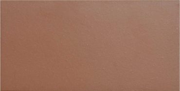 Клинкерная плитка Exagres Proyect Rojo 12mm 12x24,5 противоскользящая