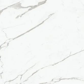 Extra White Luc. L150317MF6