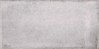 Vita Nebbia