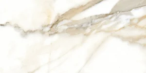 Керамогранит Fanal Calacatta Decor B NPlus 60x120 полированный