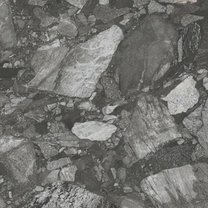 Керамогранит Fanal Fnl Stone River Black Nplus 89,8x89,8 полированный