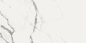 Керамогранит Fanal New Ice White Nplus 60x120 полированный