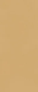 Плитка Fap True Color fTDS Caramel RT 50x120 матовая