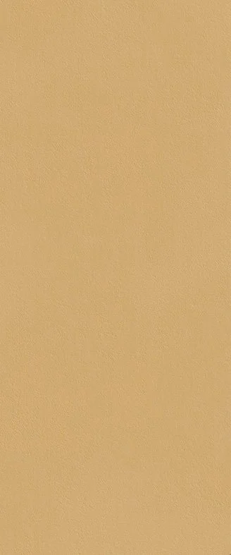 Плитка Fap True Color fTDS Caramel RT 50x120 матовая