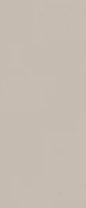 Плитка Fap True Color fTDU Fossil RT 50x120 матовая