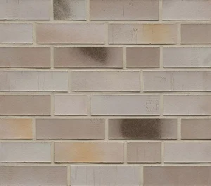 Клинкерная плитка Feldhaus Klinker Accudo Argo Pegenus R707NF14 7,1x24 натуральная