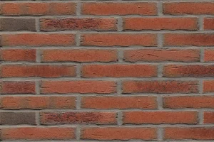 Клинкерная плитка Feldhaus Klinker Sintra Terracotta Bario R698LDF14 5,2x29 матовая