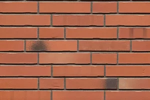 Клинкерная плитка Feldhaus Klinker Bacco Terracotta Matiz R985DF14 5,2x24 матовая