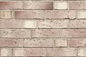Клинкерная плитка Feldhaus Klinker Premium Vario Ardor R920DF14 5,2x24 матовая
