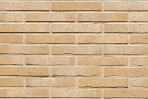 Клинкерная плитка Feldhaus Klinker Vascu Sabiosa Blanca R762LDF14 5,2x29 матовая
