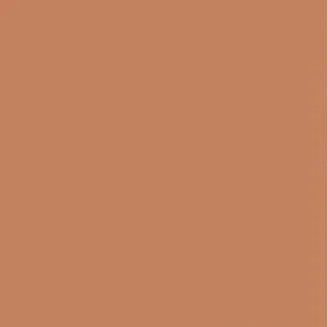 Керамогранит Fioranese Italian Landscape Terracotta IL20TER 20,5x20,5 матовый