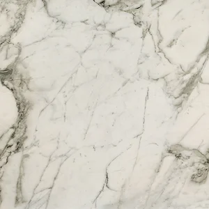 Керамогранит Fioranese Prestige Arabescato effect matt 60x60 матовый