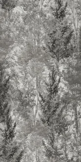 Art Walls Landscape Nat PF60010088