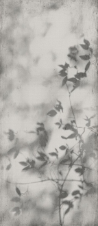 Art Walls Shadow Nat PF60012582