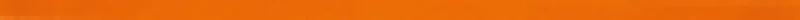 Бордюр Flaviker Backstage Matita Orange BKDP131 2x80 матовый